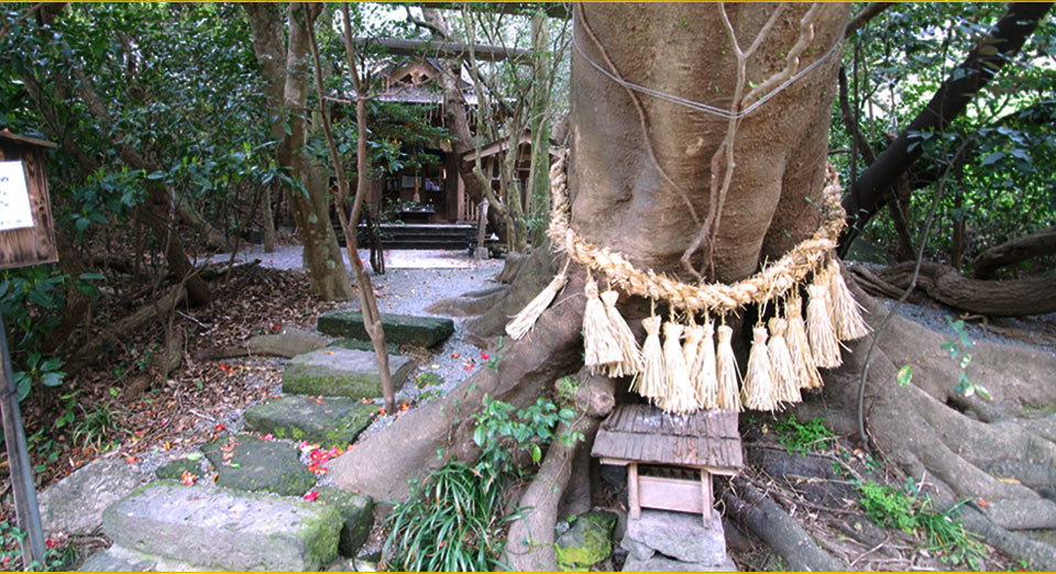 公式】宮崎県高千穂の神社、八大龍王水神