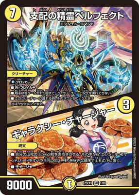 dm25-ex01-016.jpg