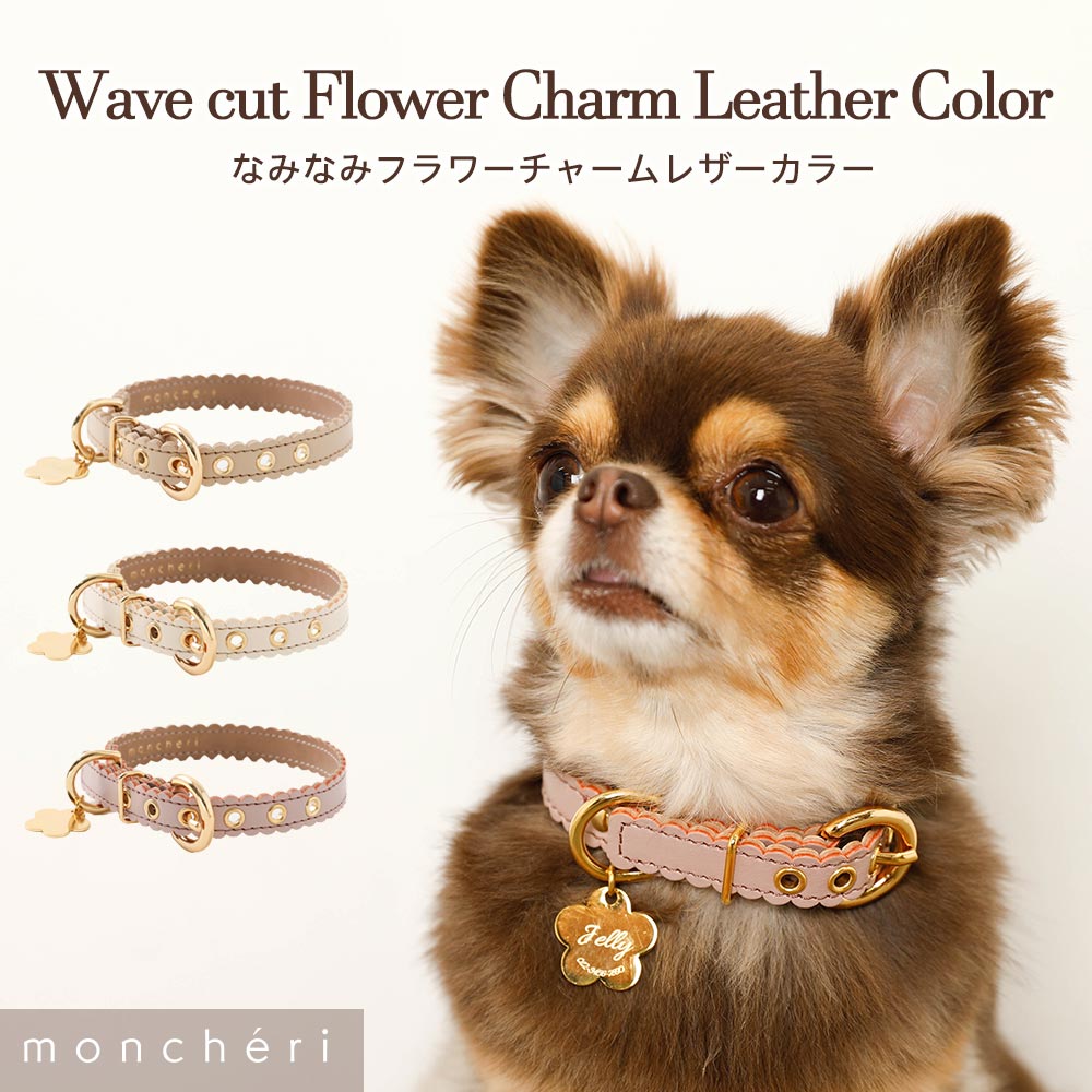 楽天市場】【スーパーSALE期間10%OFF】 moncheri モンシェリ 犬 首輪