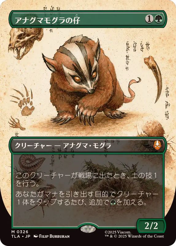 フルアート)アナグマモグラの仔/Badgermole Cub《日本語》【TLA】