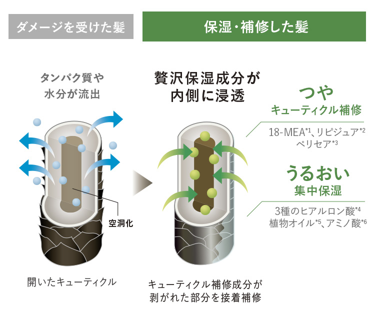 プレミアムフィト スカルプ＆ヘアマスクN｜ヘアケア｜ヘア・ボディケア