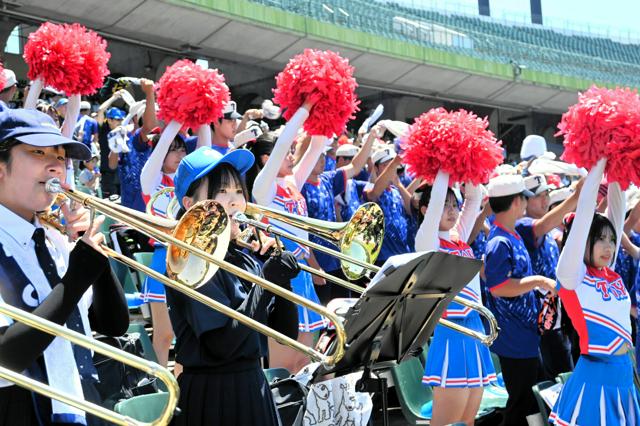東洋大姫路が14年ぶりの夏の甲子園へ 報徳学園は粘るも連覇ならず(画像