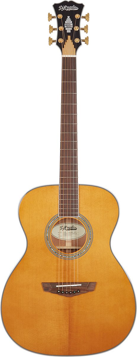 Excel Tammany XT Vintage Natural | D'Angelico | 取扱いブランド