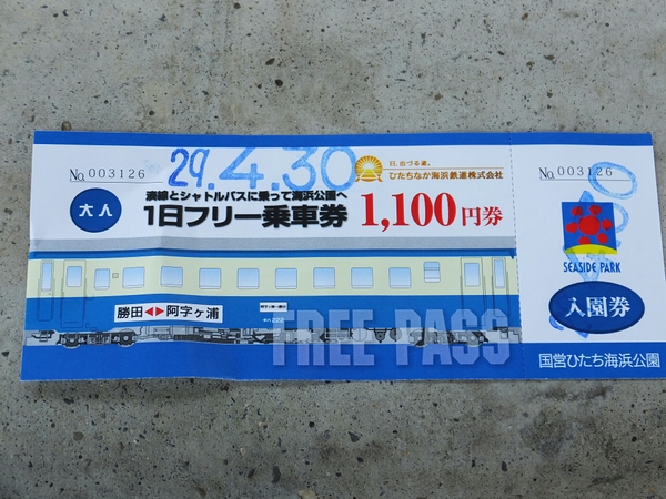 湊線で行くネモフィラの絶景 - じゃらん旅行記