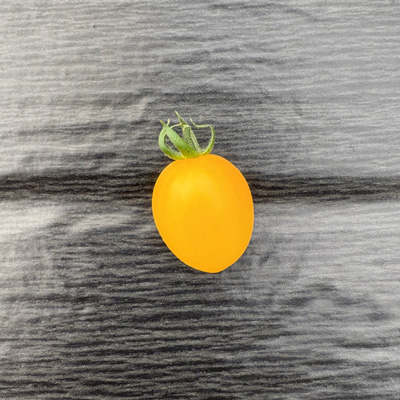 福岡県北九州市若松 Nature とまと狩り