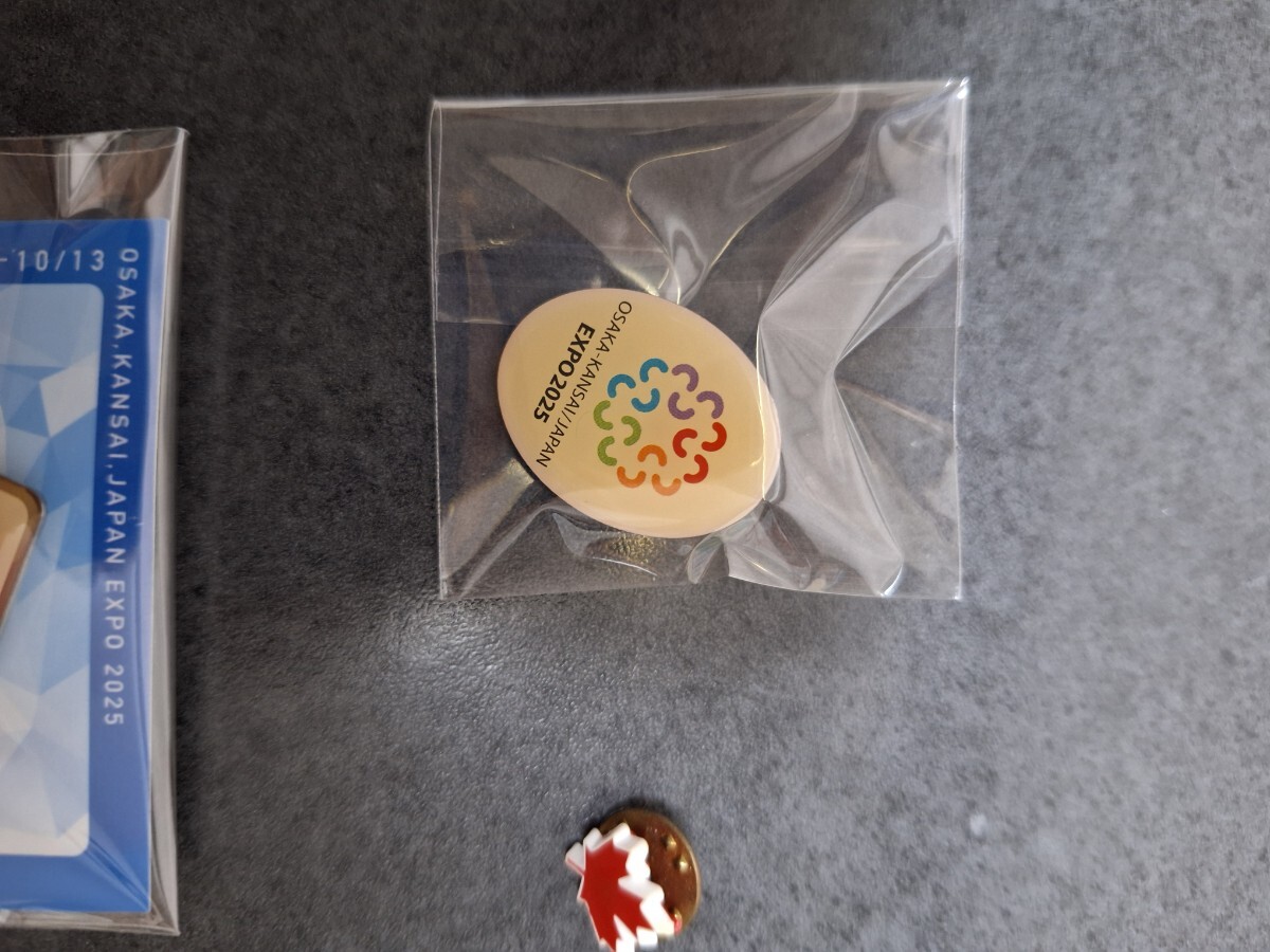 大阪万博 ピンバッジ ピンバッチ EXPO 2025 万国博覧会 ピンズ 関西