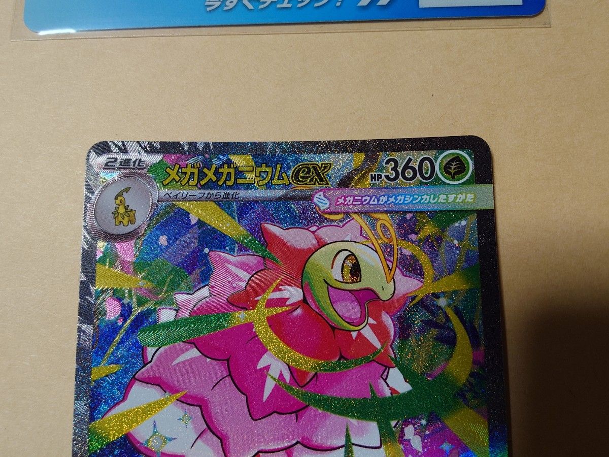 メガメガニウムex メガオーダイルex メガエンブオーex sar スタート