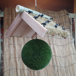 杉玉 40cm 吉野杉 つくりたて（杉玉のみ） その他インテリア雑貨 萩原