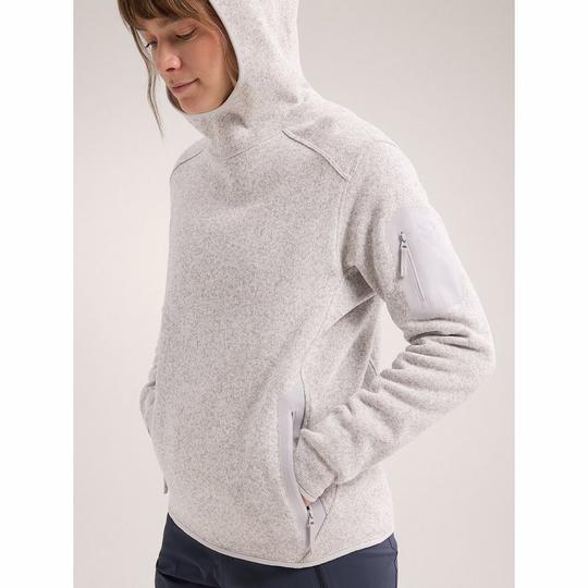 Women's Covert Pullover Hoody Top | Arc'teryx | Sporting Life Online