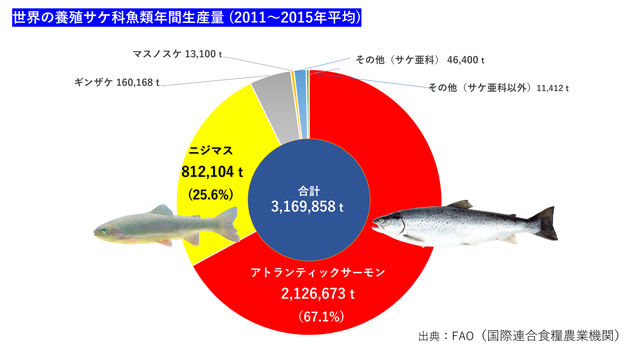 トラウトはサーモンを超えているか :: デイリーポータルZ