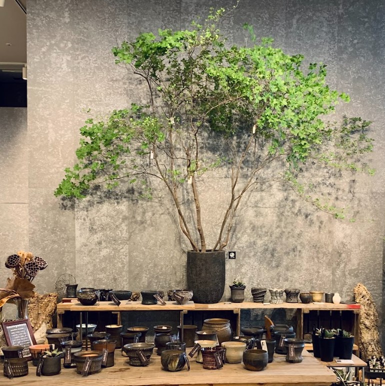 作家の鉢×アガベ POP UP | garage living with plants