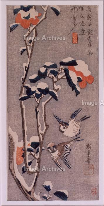 作品詳細 | 雪中椿に雀 | イメージアーカイブ - DNPアート