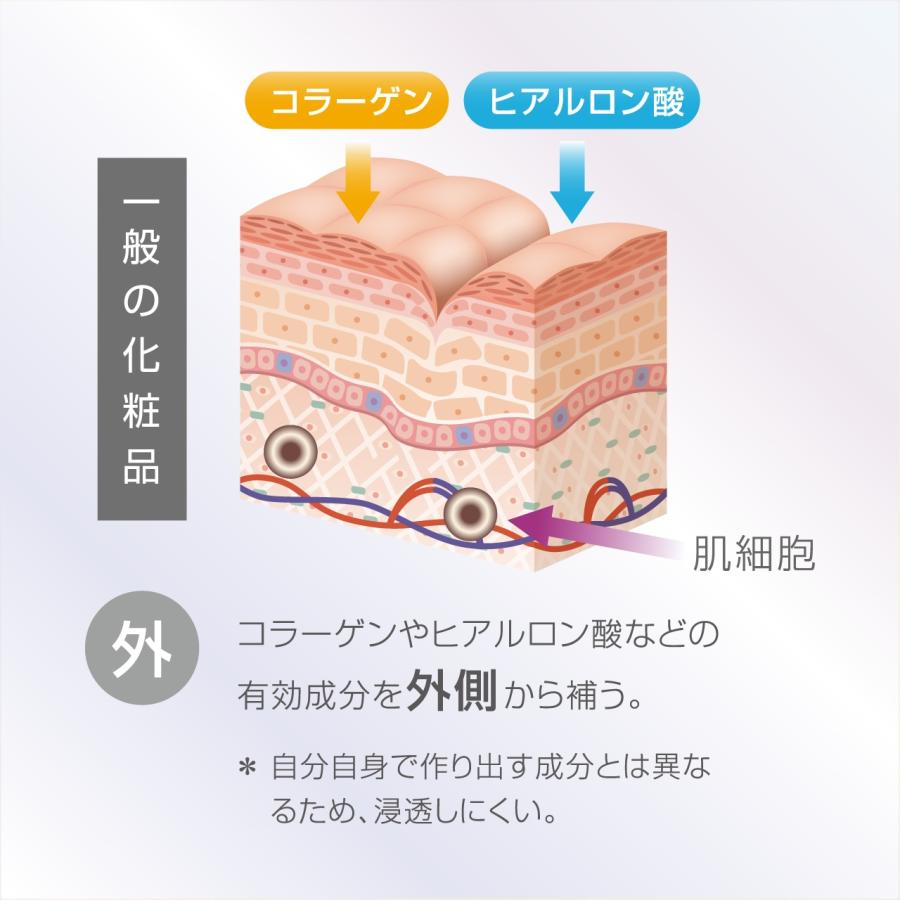正規販売認証店】リジェニティ FK クリーム｜DARWIN フェイスクリーム