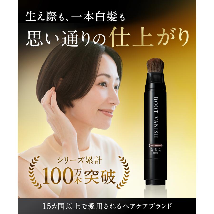 綺和美 白髪隠し 2本セット 生え際 部分染め スティック 部分 白髪染め