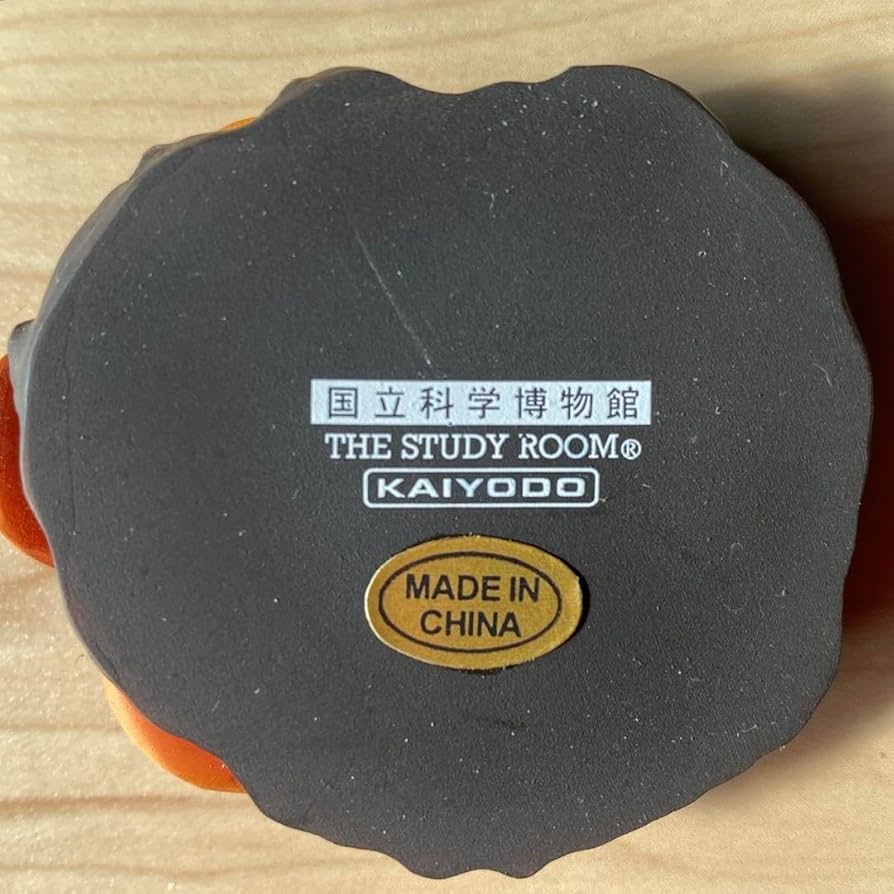 Amazon.co.jp: ラフレシア 国立科学博物館監修 科博所蔵品再現モデル