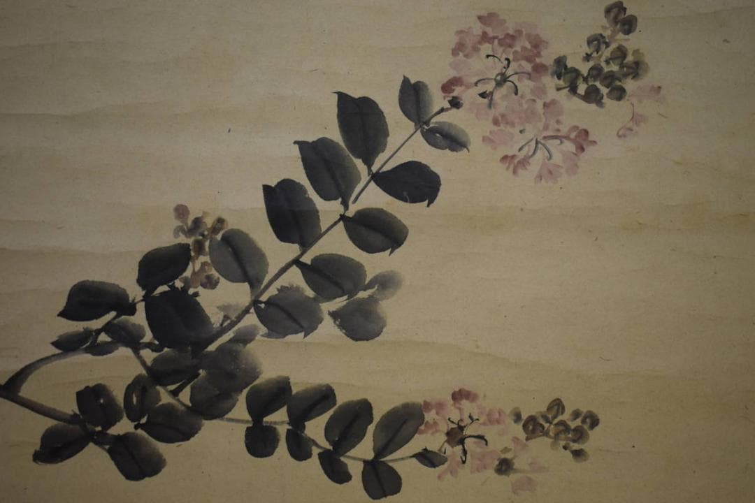 不詳/作者不詳/花図/布袋屋掛軸HJ-397