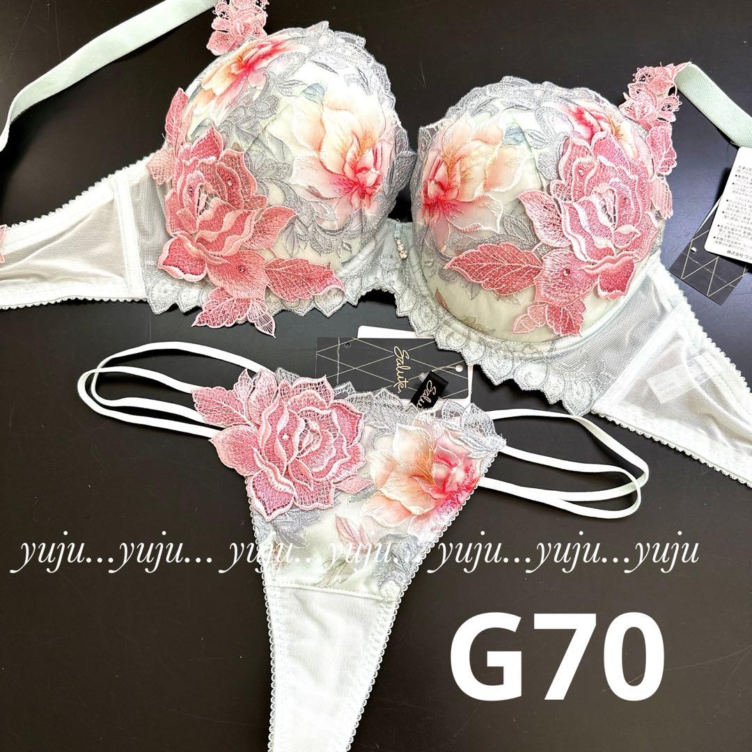 ワコール/サルート 97グループ 店舗限定 p-upブラTバックG70