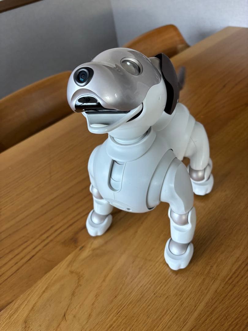 ソニー aibo アイボ ペットロボット 家電 ERS-1000 【中古】
