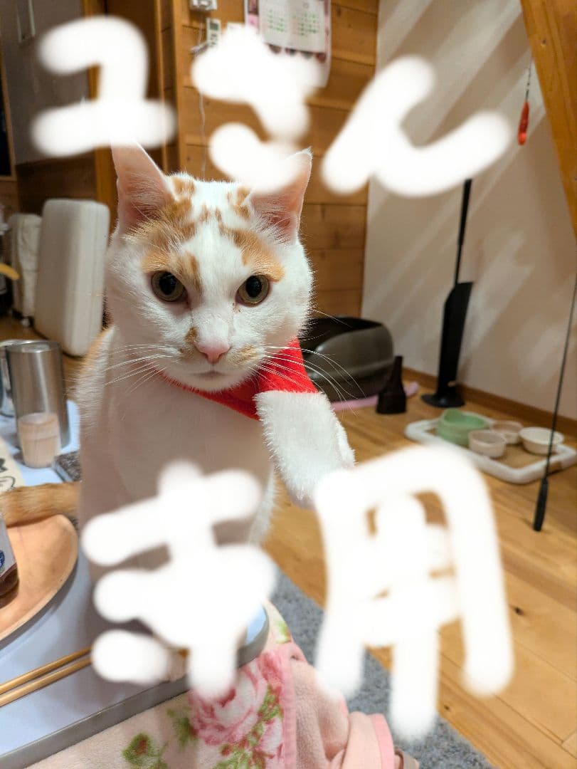 ソワーニュスキンローションBD2本