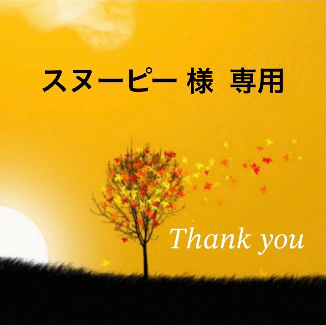 アンファティ シャンプーNA２本 ルージュ ピンク１個 7018-7025-nls_1024x1024.jpg?v=