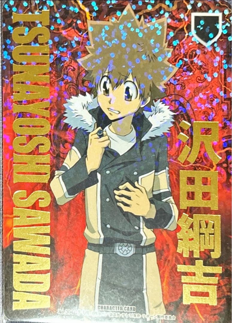 沢田綱吉 B12 ヴァリアー サインなし ツナ 沢田綱吉 B12 ヴァリアー サインなし ツナ