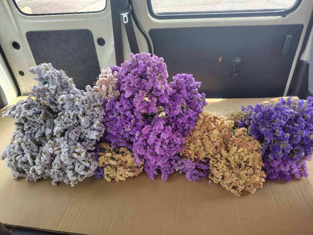 ex46jp様　おまとめ。①②ドライフラワー 紫 白 ベージュ 複数束　大量。