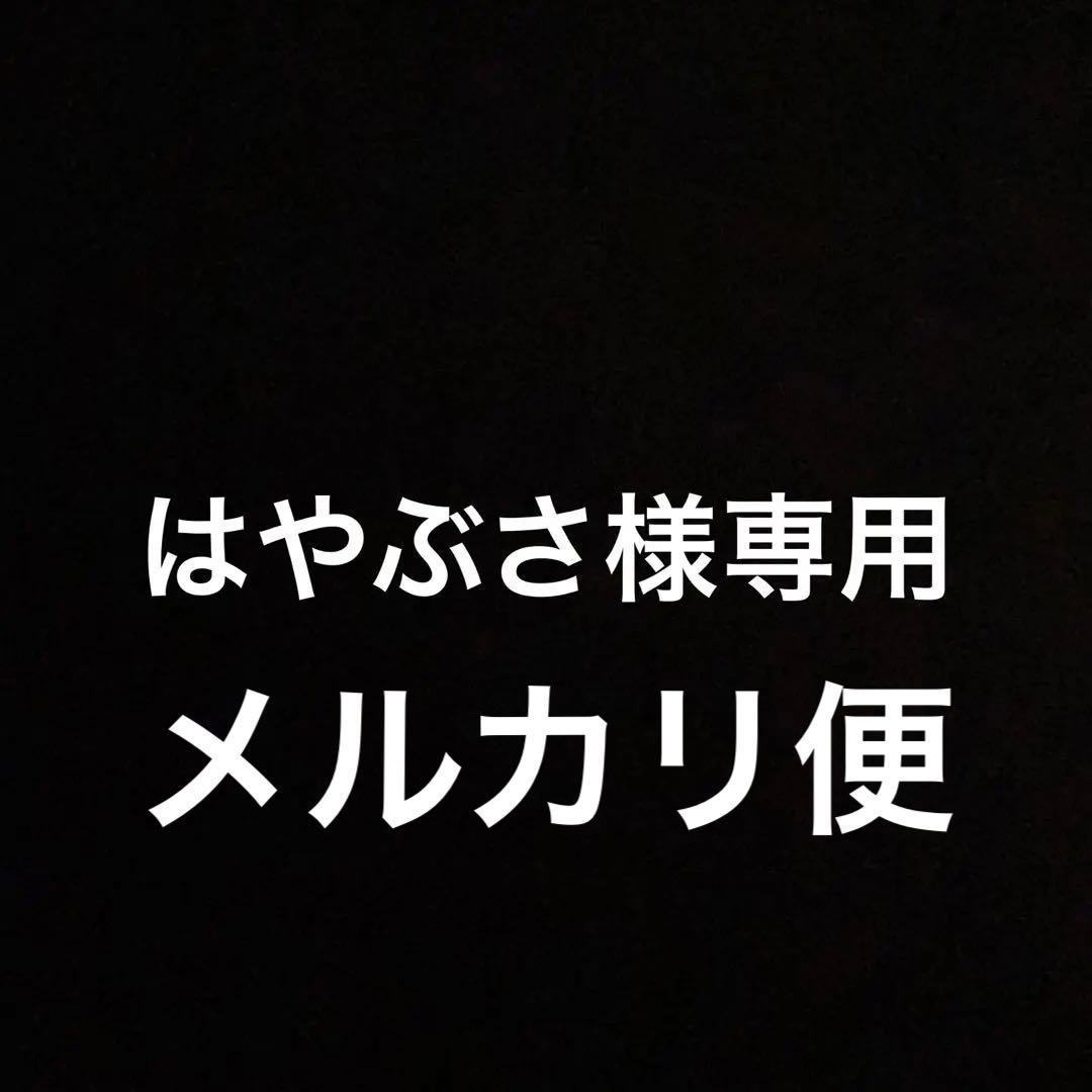 はやぶさ