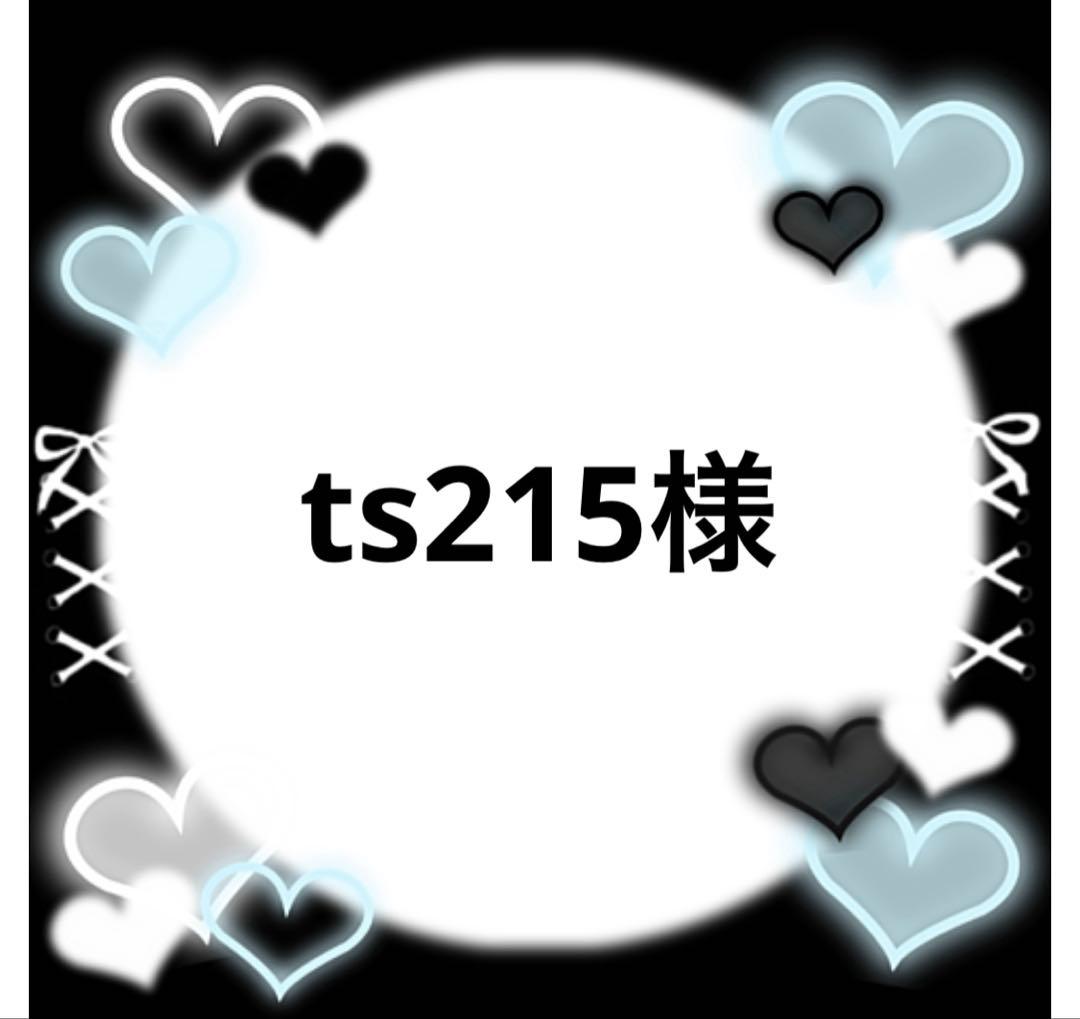 ts215様 15FT 6.35mm 1/4