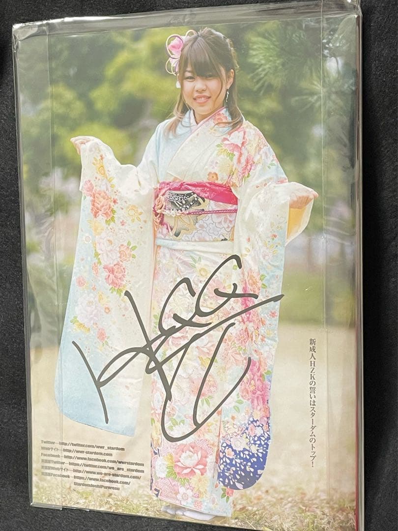 激レア スターダム STARDOM プロレス ガイド 岩谷麻優 木村花 紫雷イオ