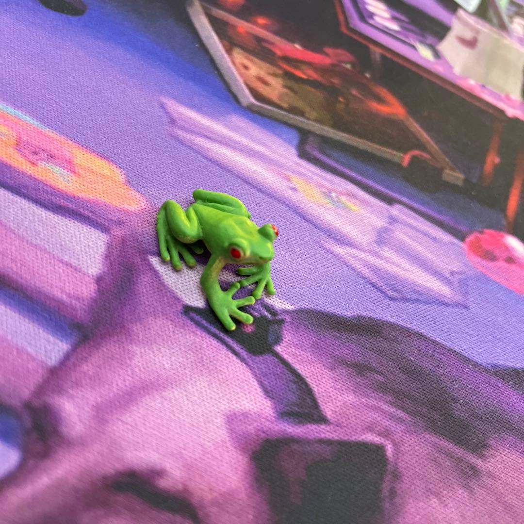 ウシガエル ウシガエル│福岡 上西郷川 水辺の生き物マルチメディア図鑑