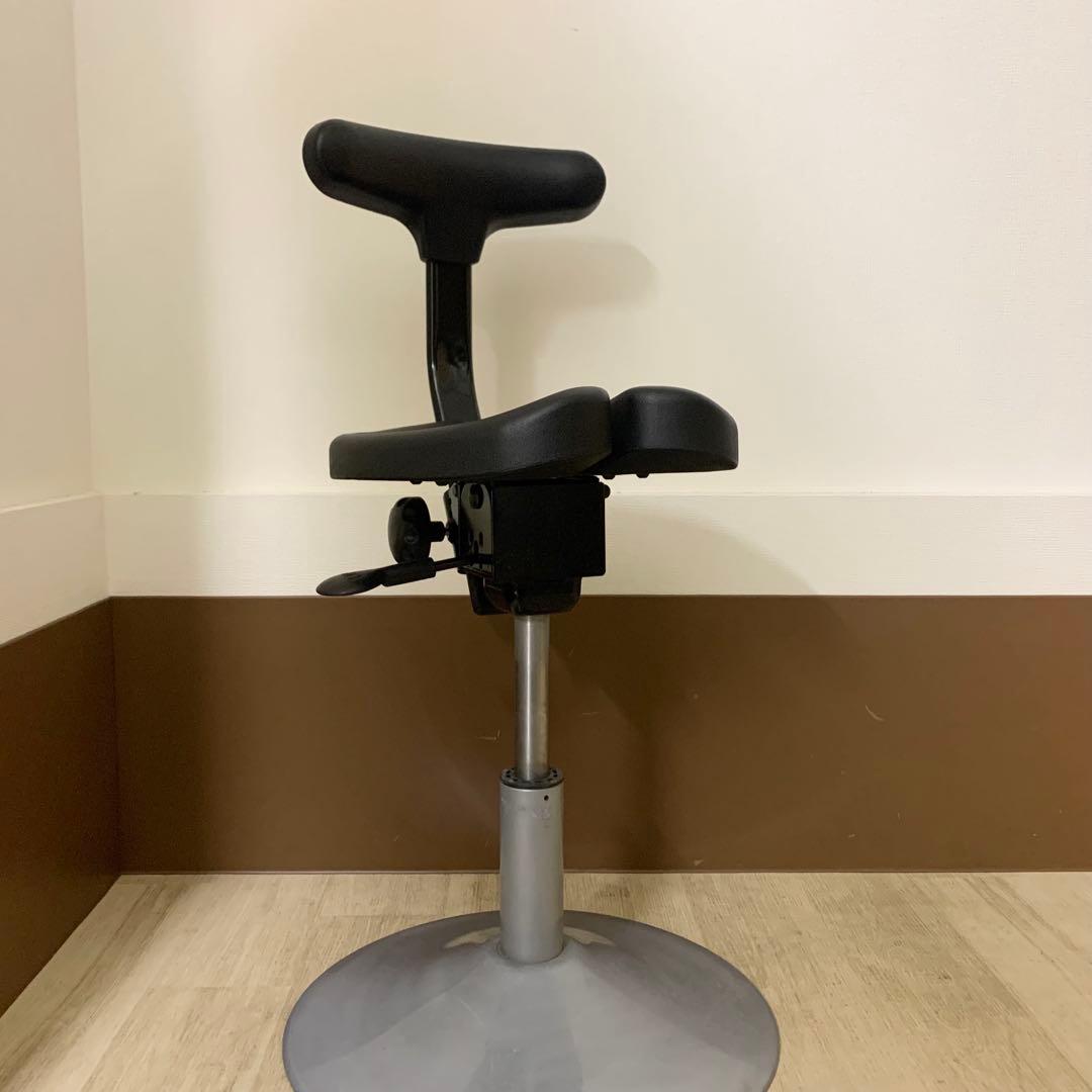 アーユルチェア ルナ 丸ベース 骨盤矯正 腰痛対策 椅子