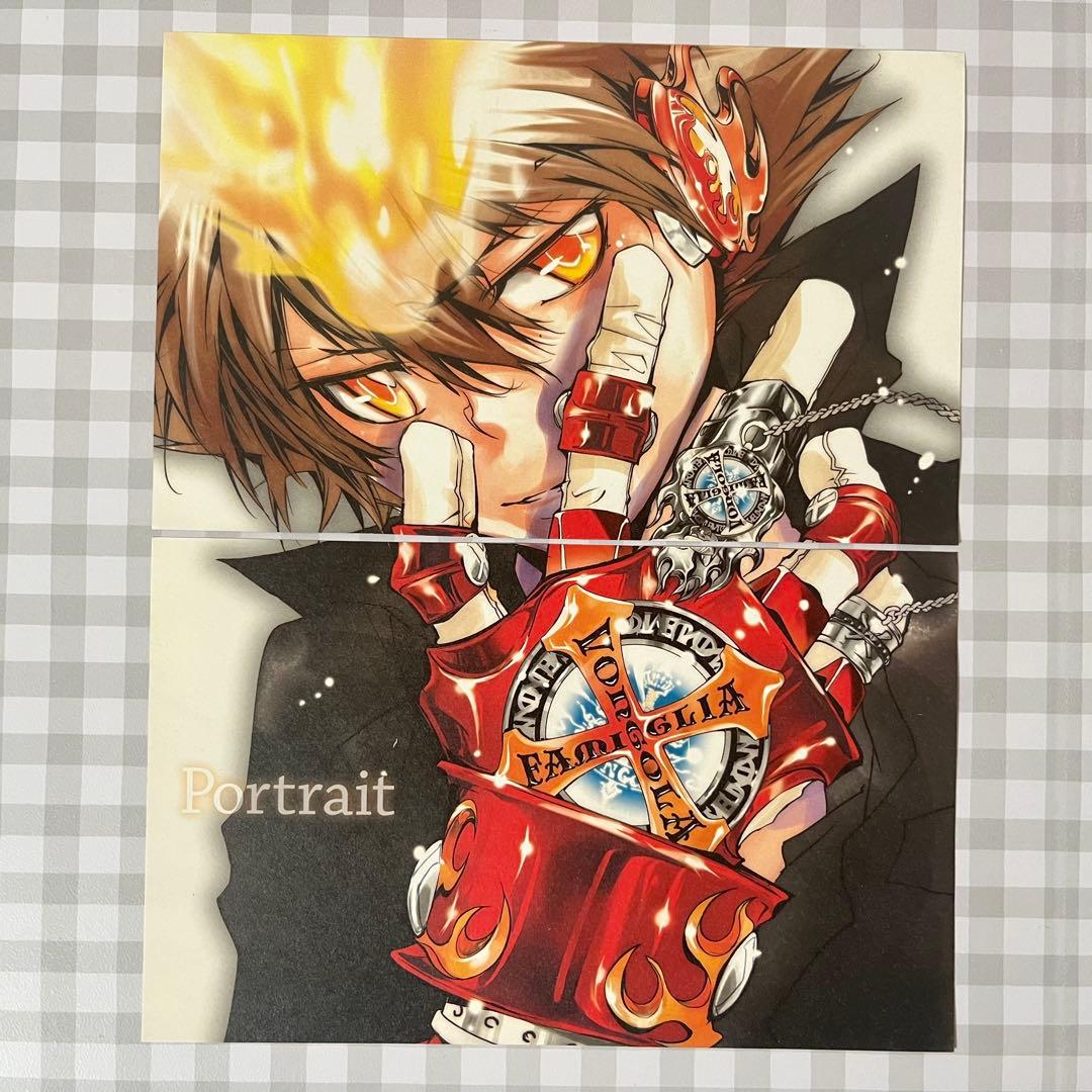 家庭教師ヒットマンREBORN 両面切り抜き ハイパーツナ 沢田綱吉 2枚