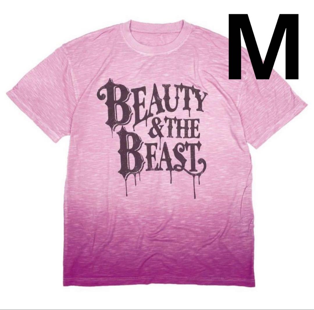 【Mサイズ】Tシャツ ピンク 4.4オンス ドライTシャツ | レディース | 1枚 | 00300-ACT | ミックス