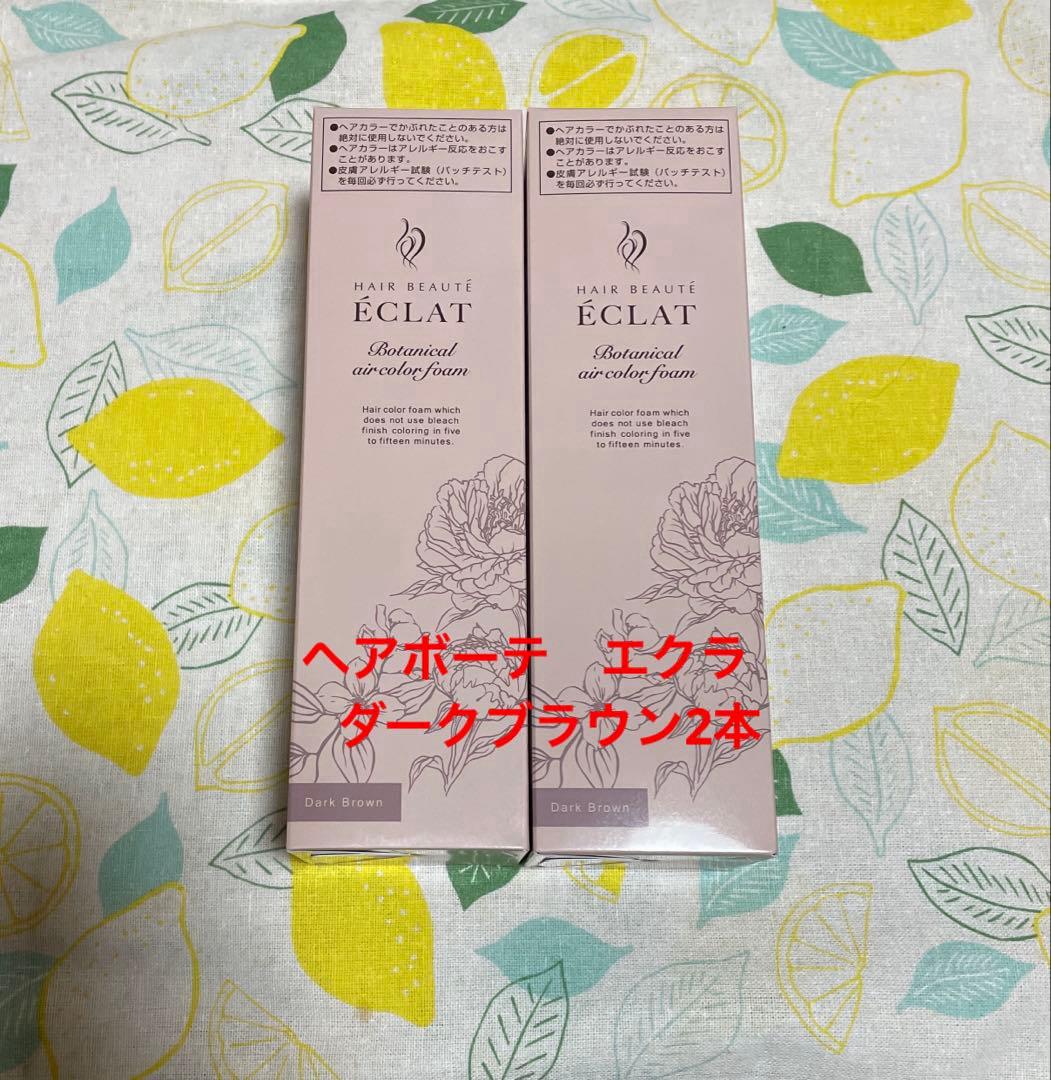ヘアボーテエクラボタニカル　エアカラーフォームup ダークブラウン2本 ヘアボーテ エクラ ボタニカルエアカラーフォームup｜フューチャーラボ