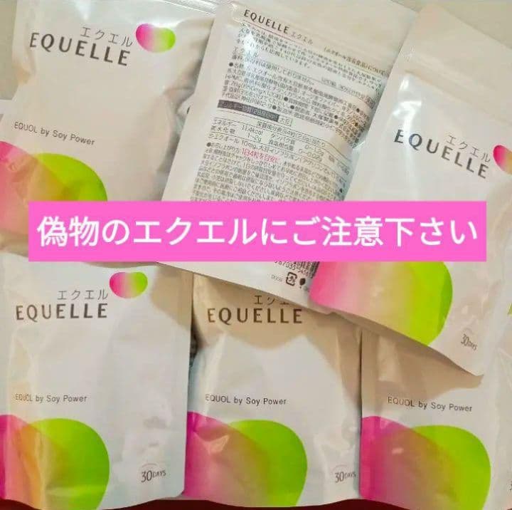 ６袋 大塚製薬 エクエル パウチ エクオール含有食品 (調剤薬局購入正規品)