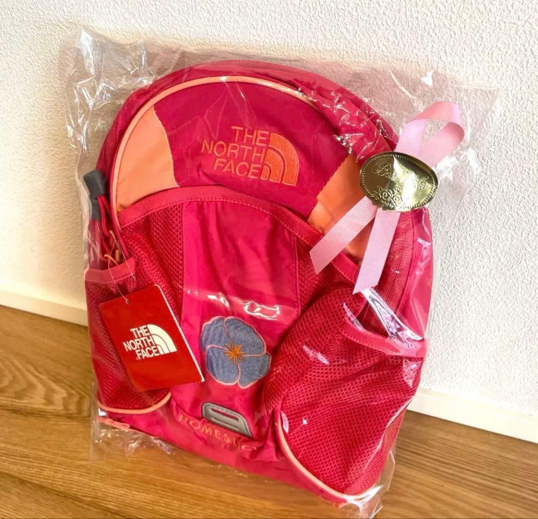 THE NORTH FACE メッシュリュック ピンク　ラズベリーソルベ THE NORTH FACE メッシュリュック ピンク ラズベリーソルベ - メルカリ