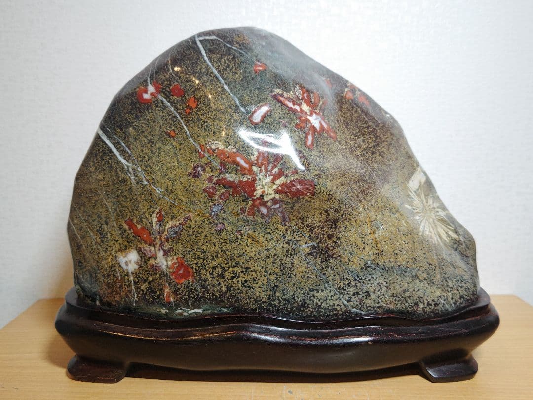 菊花石 24kg 菊紋石 花紋石 紋石 原石 鑑賞石 自然石 誕生石 鉱物 水石