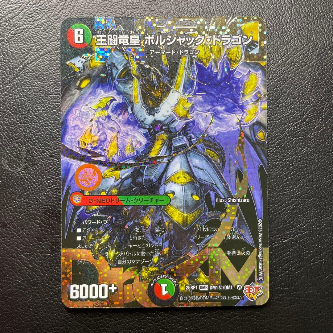 王闘竜王 ボルシャックドラゴン　シク