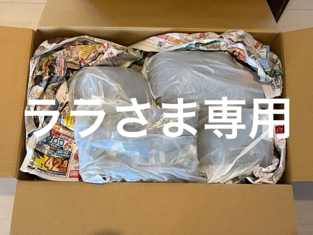 【送料込】美容師 国家試験の練習に使用 カットウィッグ(カット済) 12頭