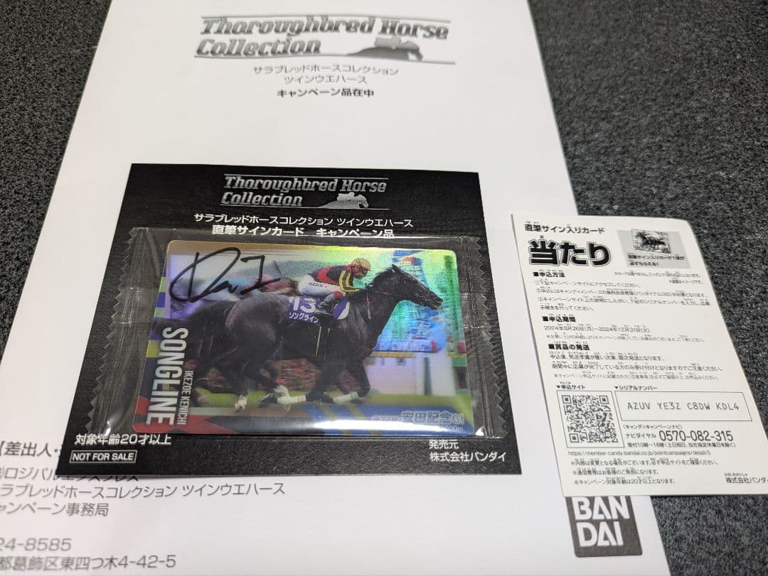 サラブレッドホースコレクション ソングライン池添謙一