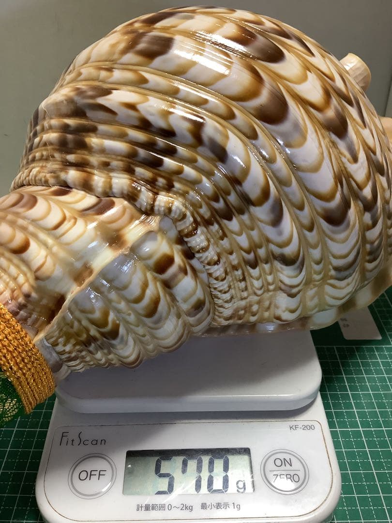 ヤフメリ62・法螺貝・山伏・修験者・戦国武将・豊臣兄弟・出羽三山・熊