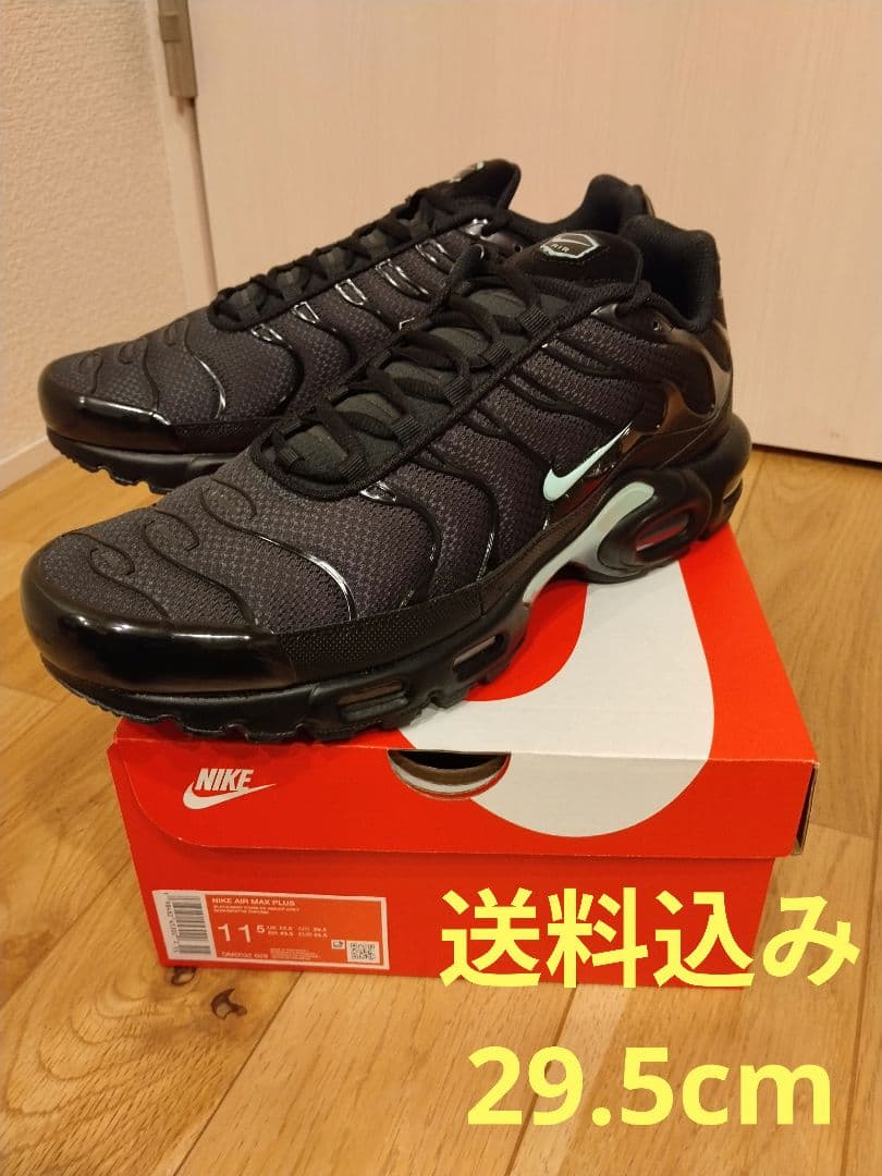 【送料込み】ナイキ エアマックス プラス “ブラック/ミント” 29.5cm