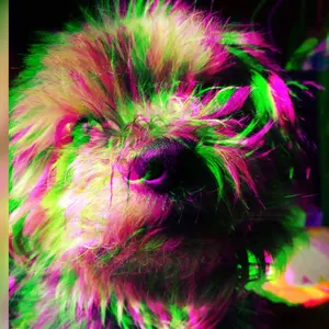 YUKI 様専用 スカジャン カヲル君 リバーシブル L - メルカリ